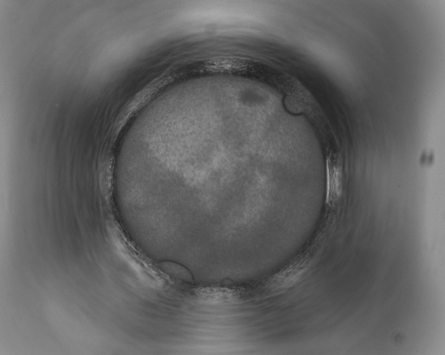 X0000111440435200907271133