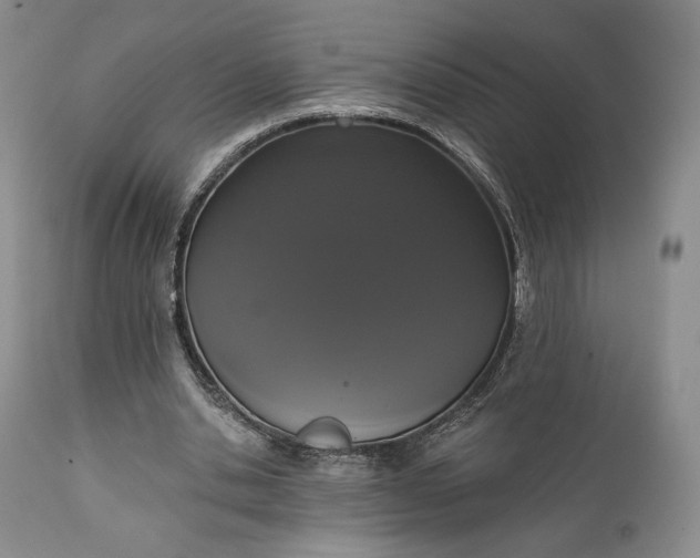 X0000111440438200907271133