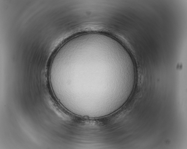 X0000111440439200907271133