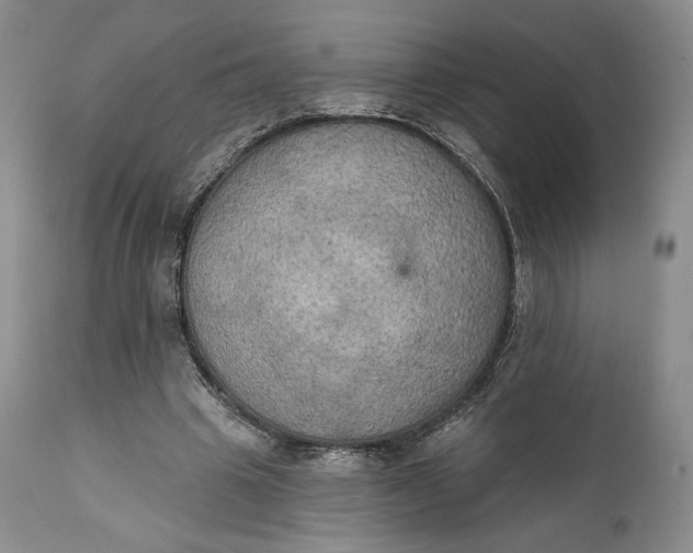 X0000111440441200907271133