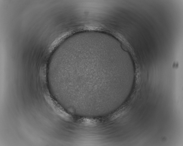 X0000111440442200907271133