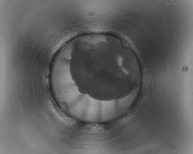 X0000111440443200907271133