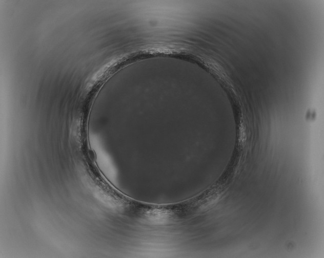 X0000111440444200907271134