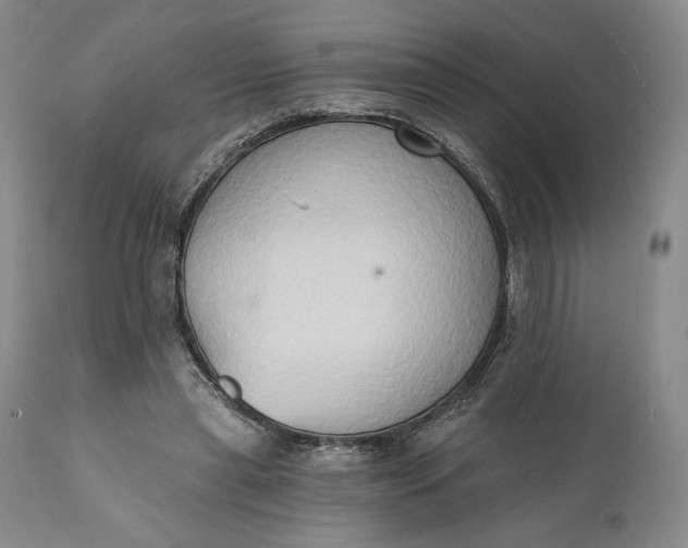 X0000111440445200907271134