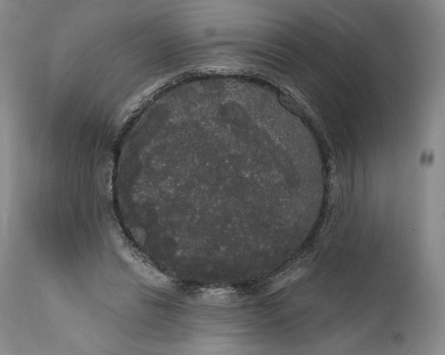 X0000111440446200907271134