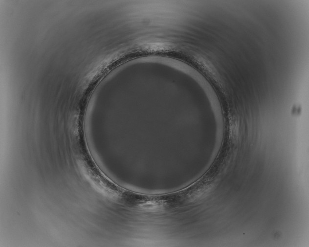 X0000111440447200907271134