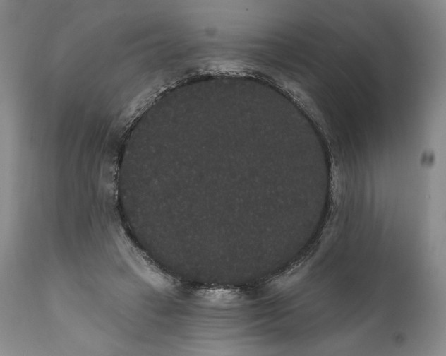 X0000111440449200907271134