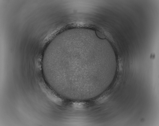 X0000111440450200907271134