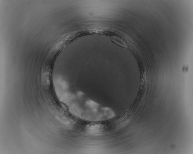 X0000111440452200907271134