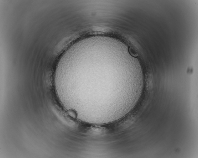 X0000111440455200907271134