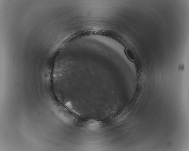 X0000111440456200907271134