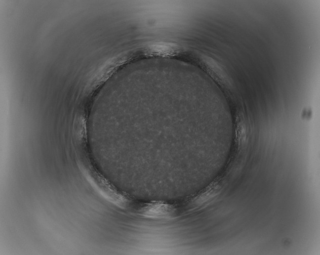 X0000111440459200907271134