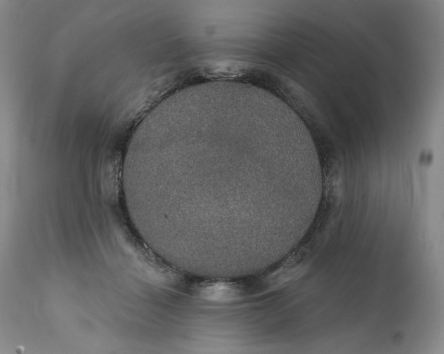 X0000111440460200907271134