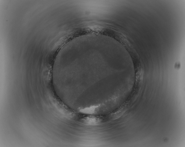 X0000111440464200907271134