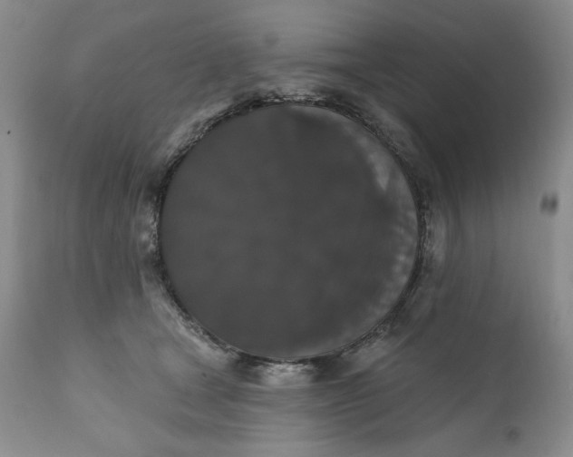 X0000111440465200907271134