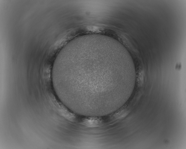 X0000111440466200907271134