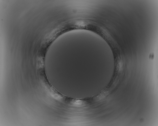 X0000111440467200907271134