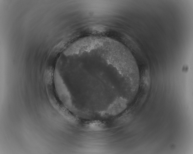 X0000111440468200907271134