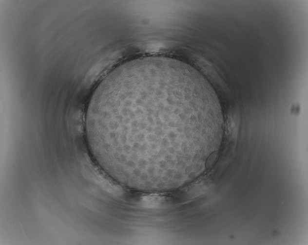 X0000111440470200907271134