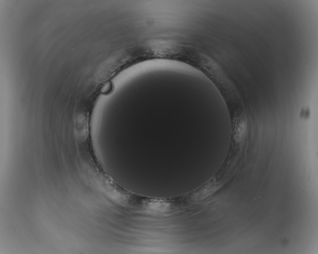 X0000111440471200907271134