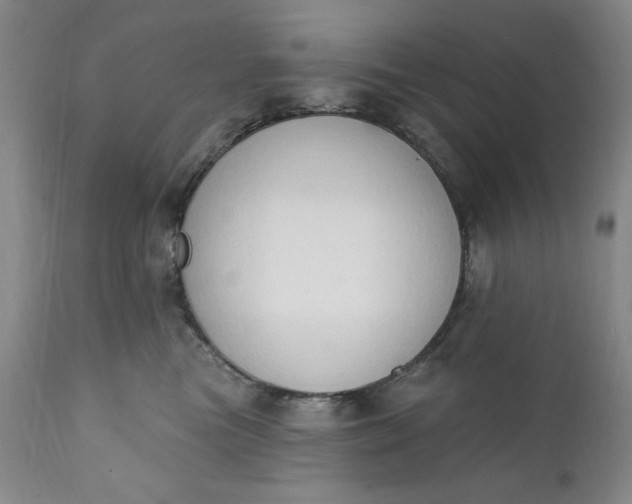 X0000111440473200907271134