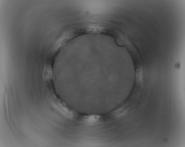 X0000111440474200907271134