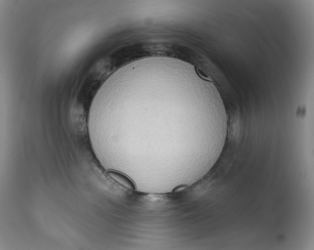 X0000111440477200907271134