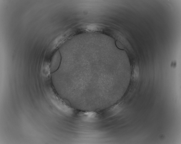 X0000111440478200907271134