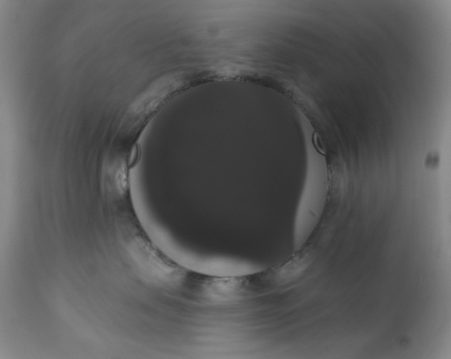 X0000111440479200907271134