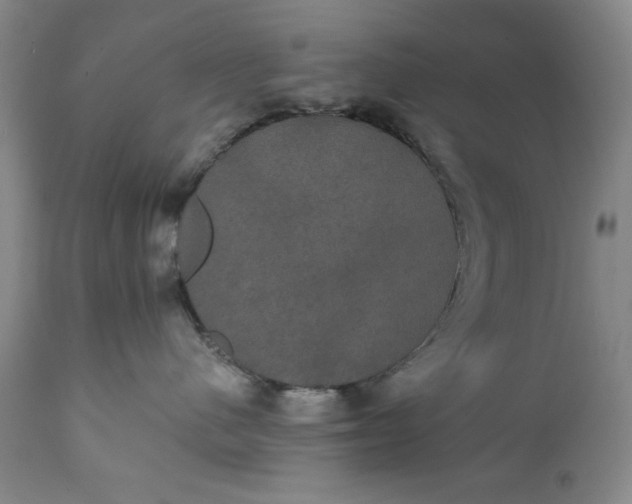 X0000111440480200907271134