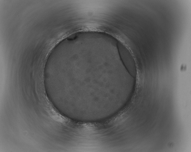 X0000111440481200907271133