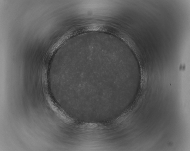 X0000111440482200907271133