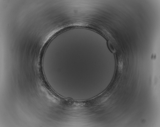 X0000111440484200907271133