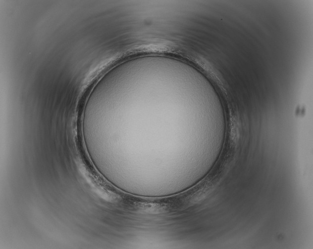 X0000111440486200907271133