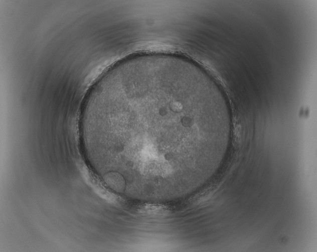 X0000111440487200907271133