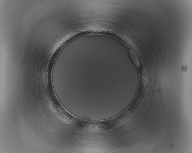 X0000111440488200907271133