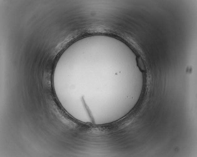 X0000111440489200907271133