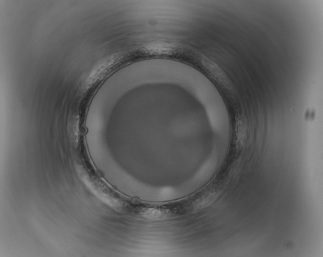 X0000111440494200907271133