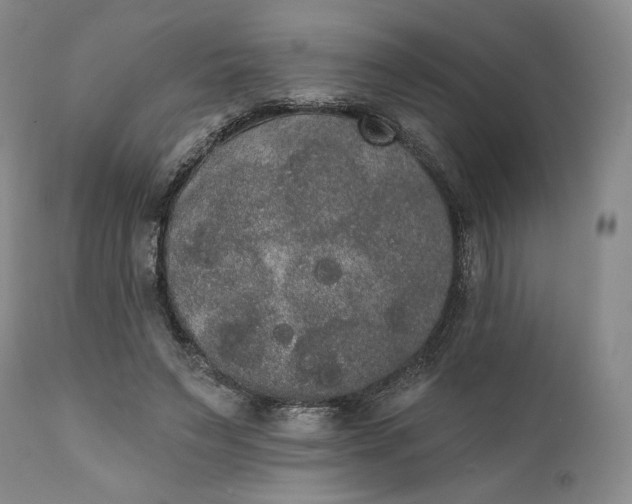 X0000111440495200907271133