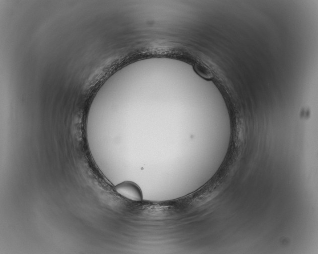 X0000111440497200907271133