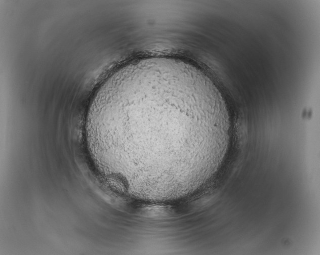 X0000111440499200907271133