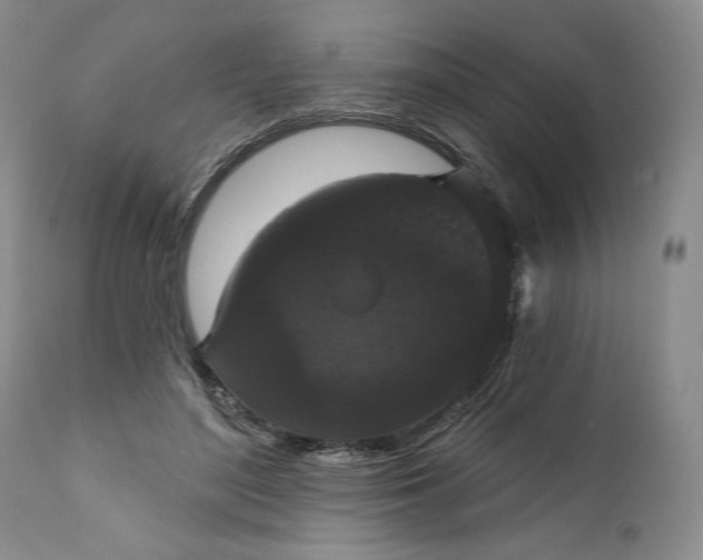 X0000111440500200907271133