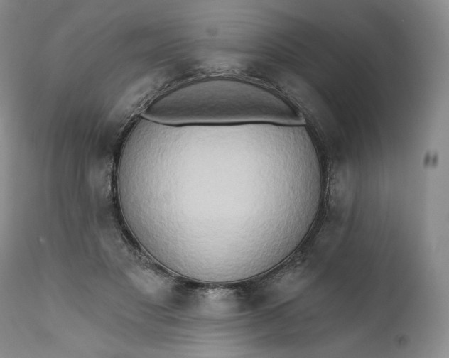 X0000111440501200907271133