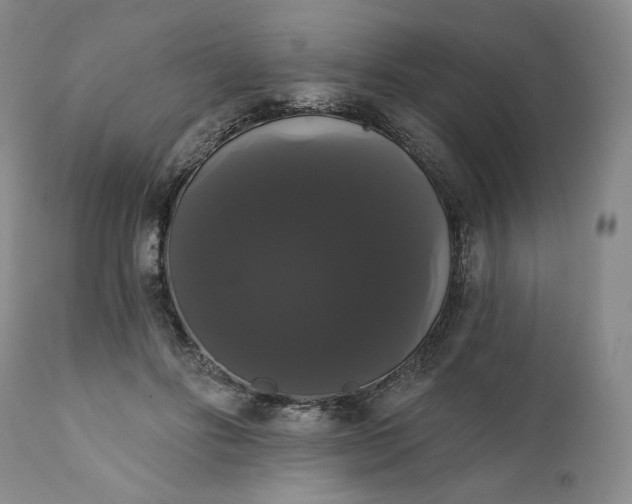 X0000111440502200907271133