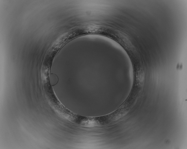 X0000111440503200907271133