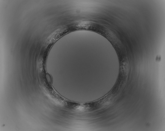 X0000111440504200907271133