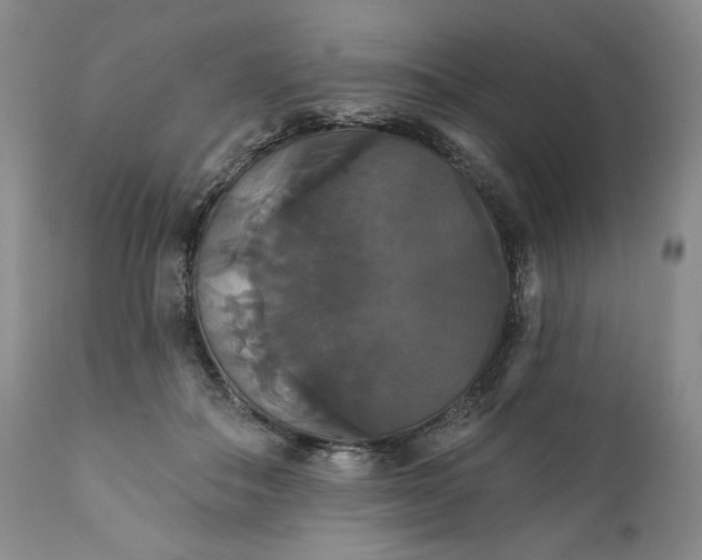 X0000111440506200907271133