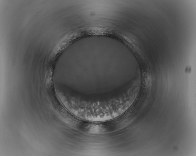 X0000111440507200907271133