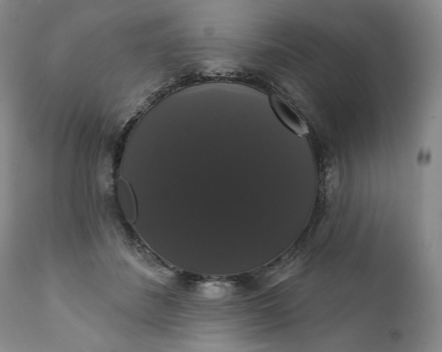 X0000111440508200907271133