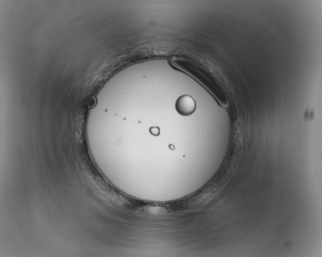 X0000111440509200907271133